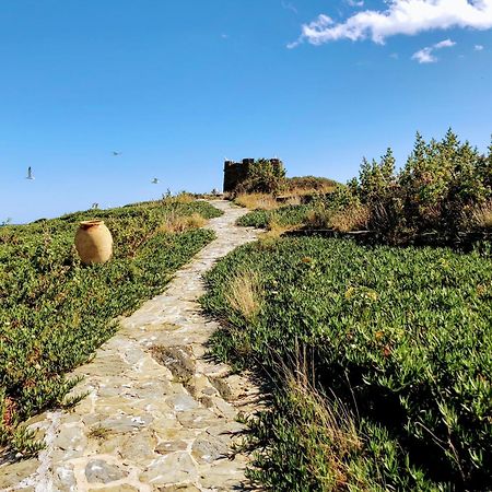 Isla Privada En Cadaques De Ensueno Con 11 Habitaciones Dobles Con Bano Privado Y Piscina Bagian luar foto