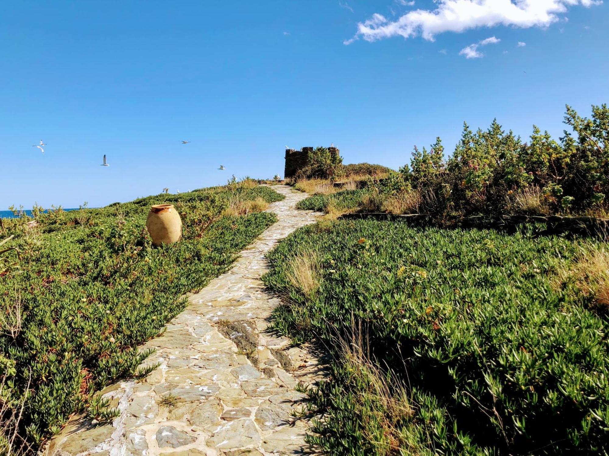 Isla Privada En Cadaques De Ensueno Con 11 Habitaciones Dobles Con Bano Privado Y Piscina Bagian luar foto